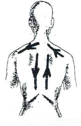 Schröpfi Massage Rücken